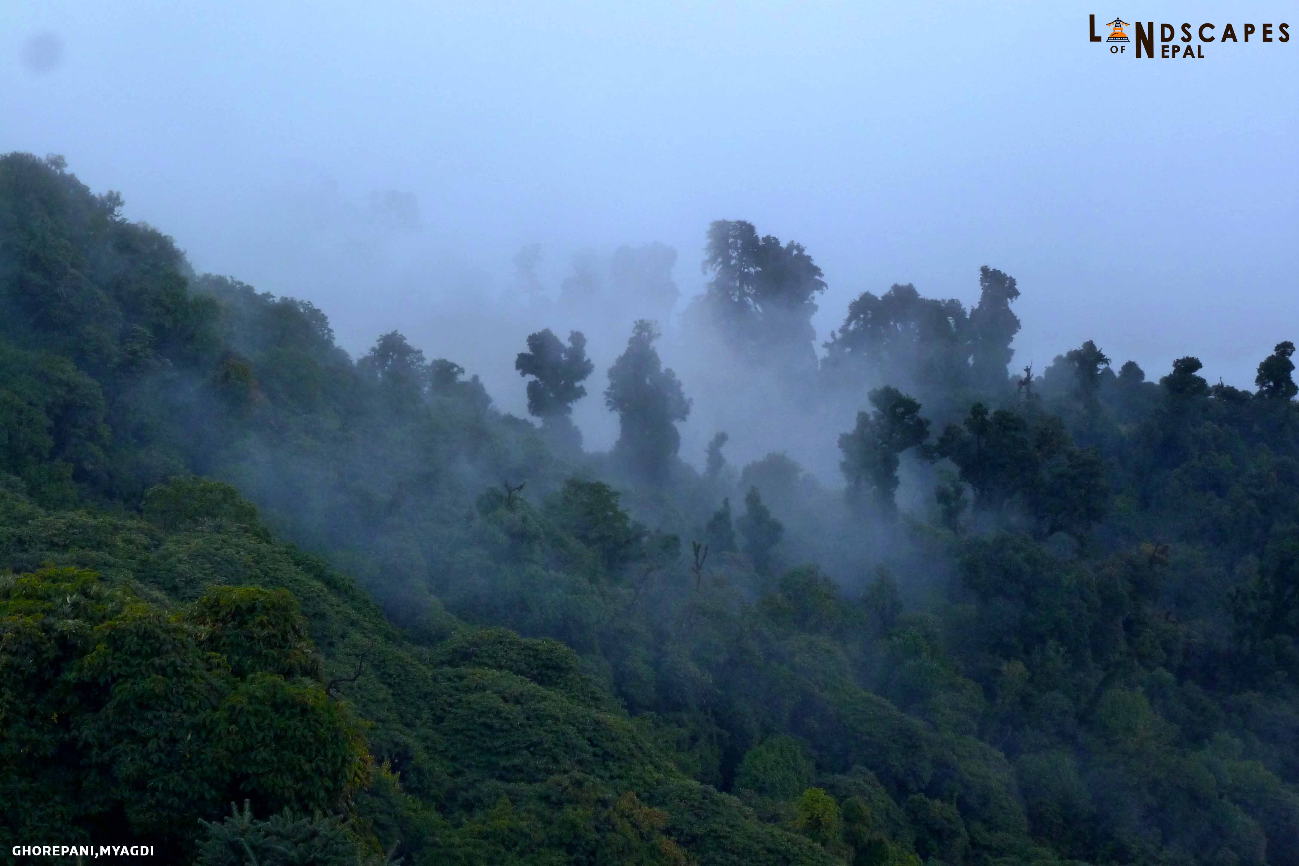 Khopra Trek: Khopra Ridge & Khayer Lake Guide